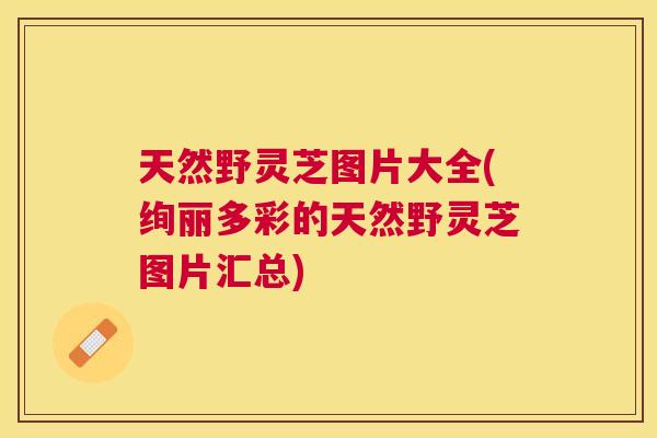 天然野灵芝图片大全(绚丽多彩的天然野灵芝图片汇总)