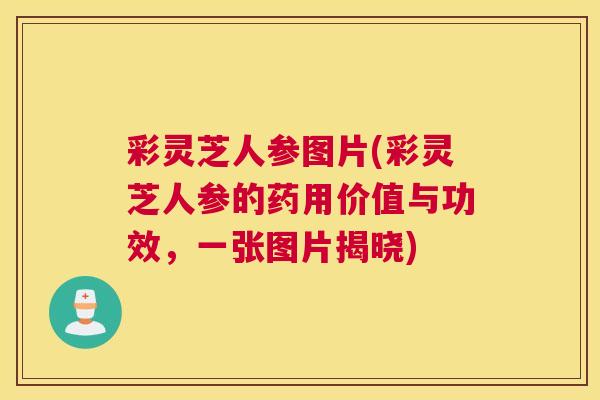 彩灵芝人参图片(彩灵芝人参的药用价值与功效，一张图片揭晓)