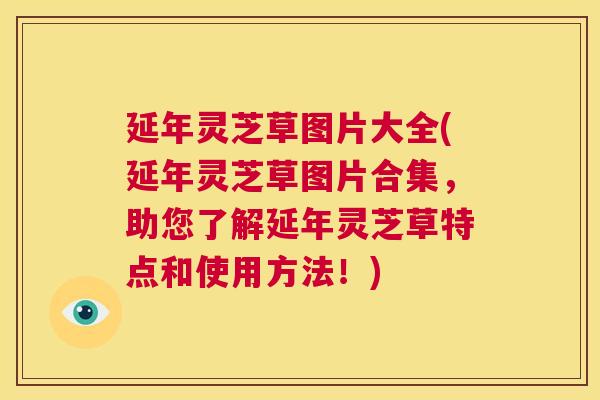 延年灵芝草图片大全(延年灵芝草图片合集，助您了解延年灵芝草特点和使用方法！)