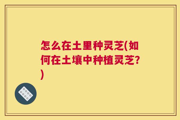 怎么在土里种灵芝(如何在土壤中种植灵芝？)