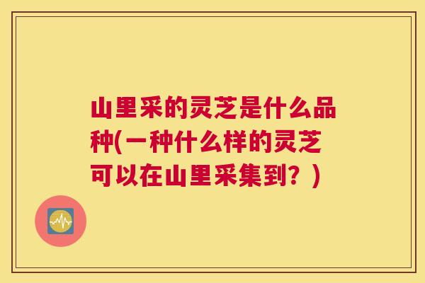 山里采的灵芝是什么品种(一种什么样的灵芝可以在山里采集到？)