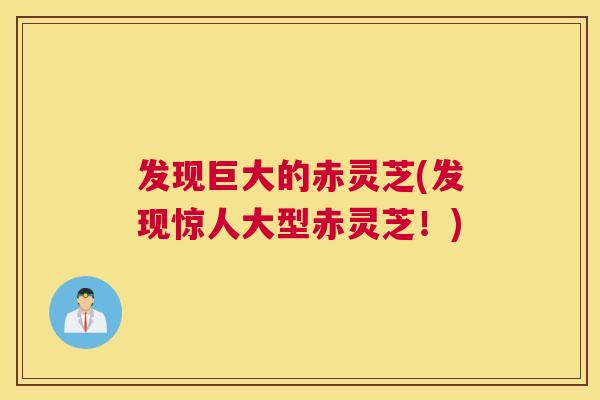 发现巨大的赤灵芝(发现惊人大型赤灵芝！)