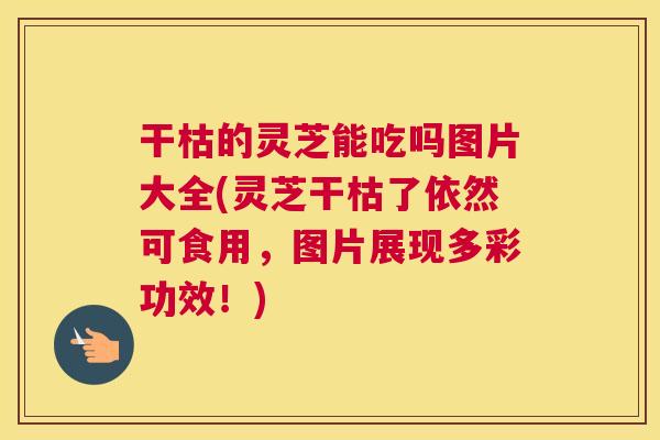 干枯的灵芝能吃吗图片大全(灵芝干枯了依然可食用，图片展现多彩功效！)