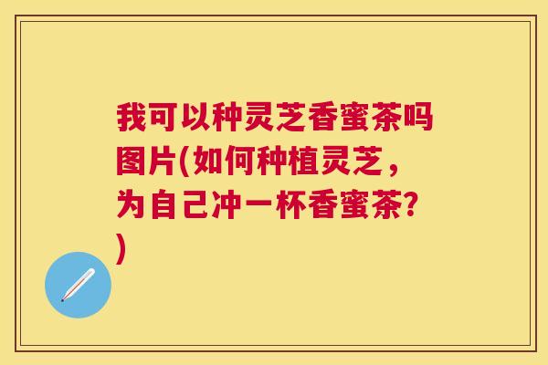 我可以种灵芝香蜜茶吗图片(如何种植灵芝，为自己冲一杯香蜜茶？)