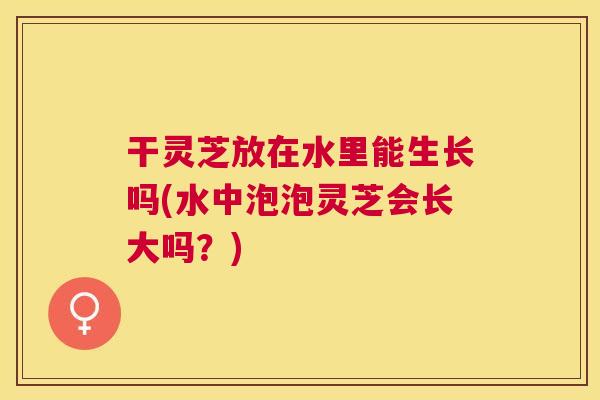 干灵芝放在水里能生长吗(水中泡泡灵芝会长大吗？)