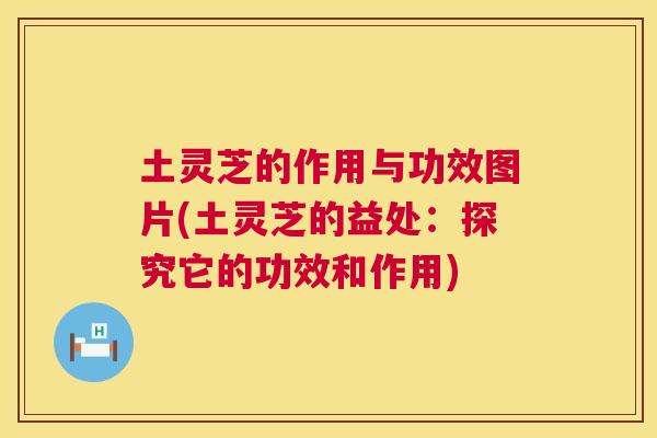 土灵芝的作用与功效图片(土灵芝的益处：探究它的功效和作用)