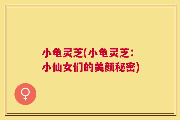 小龟灵芝(小龟灵芝：小仙女们的美颜秘密)