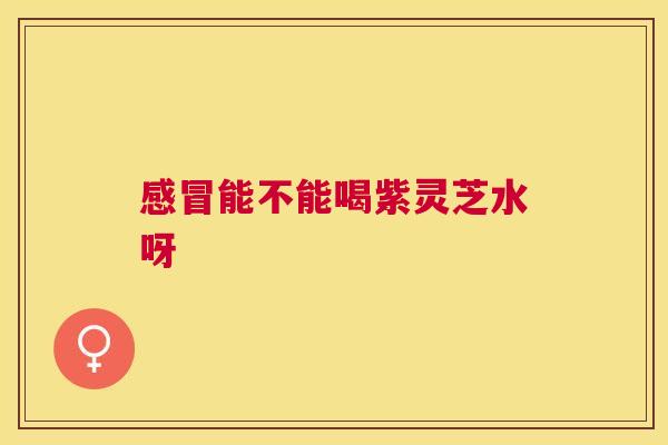 能不能喝紫灵芝水呀