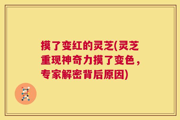 摸了变红的灵芝(灵芝重现神奇力摸了变色，专家解密背后原因)