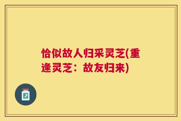 恰似故人归采灵芝(重逢灵芝：故友归来)