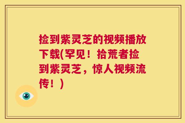 捡到紫灵芝的视频播放下载(罕见！拾荒者捡到紫灵芝，惊人视频流传！)