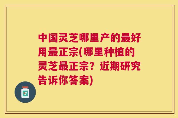中国灵芝哪里产的好用正宗(哪里种植的灵芝正宗？近期研究告诉你答案)