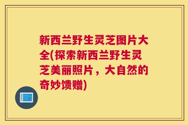 新西兰野生灵芝图片大全(探索新西兰野生灵芝美丽照片,大自然的奇妙馈赠) 新西兰野生灵芝图片大全(探索新西兰野生灵芝美丽照片,大自然的奇妙馈赠)