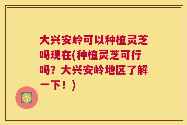 大兴安岭可以种植灵芝吗现在(种植灵芝可行吗?大兴安岭地区了解一下!) 大兴安岭可以种植灵芝吗现在(种植灵芝可行吗?大兴安岭地区了解一下!)