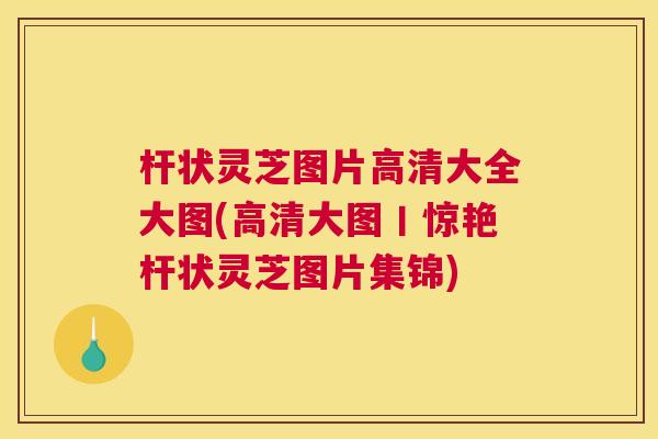杆状灵芝图片高清大全大图(高清大图丨惊艳杆状灵芝图片集锦)