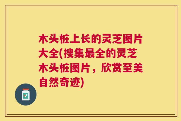 木头桩上长的灵芝图片大全(搜集全的灵芝木头桩图片，欣赏至美自然奇迹)