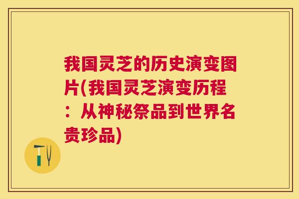 我国灵芝的历史演变图片(我国灵芝演变历程：从神秘祭品到世界名贵珍品)