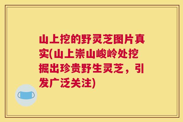 山上挖的野灵芝图片真实(山上崇山峻岭处挖掘出珍贵野生灵芝,引发广泛关注) 山上挖的野灵芝图片真实(山上崇山峻岭处挖掘出珍贵野生灵芝,引发广泛关注)