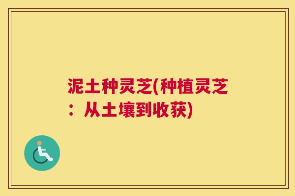 泥土种灵芝(种植灵芝:从土壤到收获) 泥土种灵芝(种植灵芝:从土壤到收获)