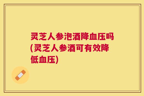 灵芝人参泡酒降血压吗(灵芝人参酒可有效降低血压) 灵芝人参泡酒降血压吗(灵芝人参酒可有效降低血压)