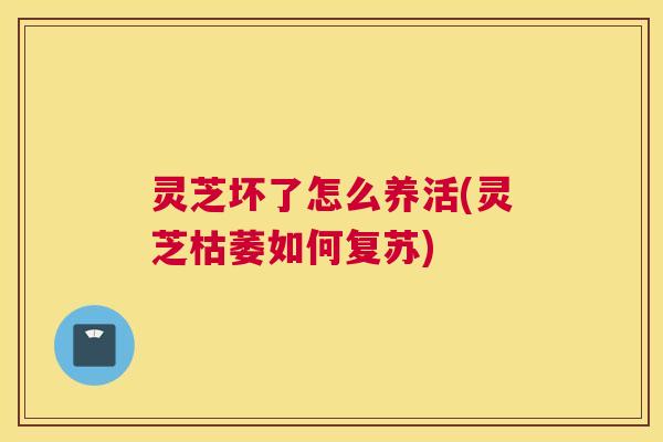 灵芝坏了怎么养活(灵芝枯萎如何复苏) 灵芝坏了怎么养活(灵芝枯萎如何复苏)
