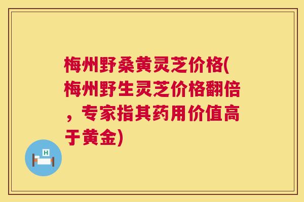 梅州野桑黄灵芝价格(梅州野生灵芝价格翻倍,专家指其药用价值高于黄金) 梅州野桑黄灵芝价格(梅州野生灵芝价格翻倍,专家指其药用价值高于黄金)