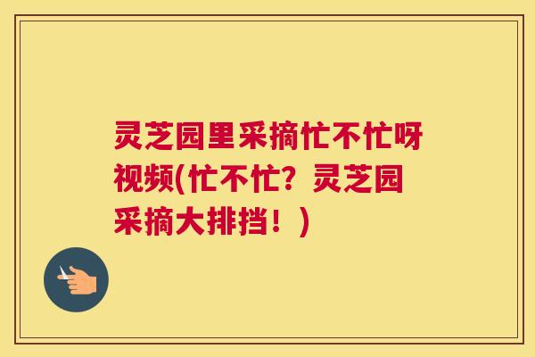 灵芝园里采摘忙不忙呀视频(忙不忙?灵芝园采摘大排挡!) 灵芝园里采摘忙不忙呀视频(忙不忙?灵芝园采摘大排挡!)