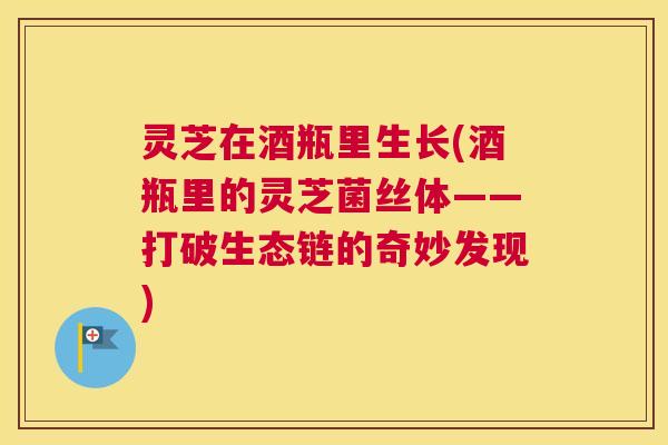 灵芝在酒瓶里生长(酒瓶里的灵芝菌丝体——打破生态链的奇妙发现) 灵芝在酒瓶里生长(酒瓶里的灵芝菌丝体——打破生态链的奇妙发现)