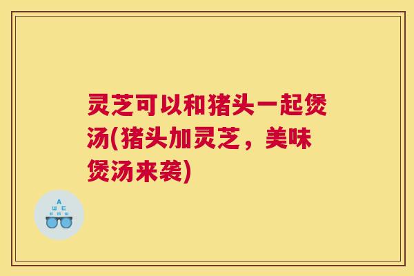 灵芝可以和猪头一起煲汤(猪头加灵芝,美味煲汤来袭) 灵芝可以和猪头一起煲汤(猪头加灵芝,美味煲汤来袭)