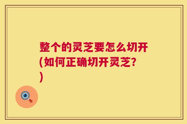 整个的灵芝要怎么切开(如何正确切开灵芝?) 整个的灵芝要怎么切开(如何正确切开灵芝?)