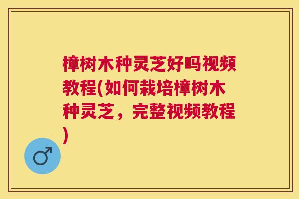 樟树木种灵芝好吗视频教程(如何栽培樟树木种灵芝,完整视频教程) 樟树木种灵芝好吗视频教程(如何栽培樟树木种灵芝,完整视频教程)