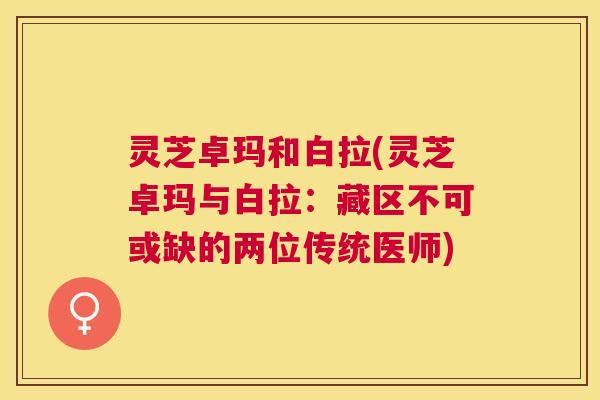 灵芝卓玛和白拉(灵芝卓玛与白拉:藏区不可或缺的两位传统医师) 灵芝卓玛和白拉(灵芝卓玛与白拉:藏区不可或缺的两位传统医师)
