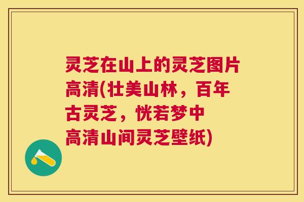 灵芝在山上的灵芝图片高清(壮美山林,百年古灵芝,恍若梦中 高清山间灵芝壁纸) 灵芝在山上的灵芝图片高清(壮美山林,百年古灵芝,恍若梦中 高清山间灵芝壁纸)