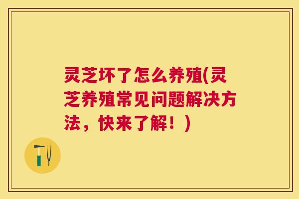 灵芝坏了怎么养殖(灵芝养殖常见问题解决方法,快来了解!) 灵芝坏了怎么养殖(灵芝养殖常见问题解决方法,快来了解!)