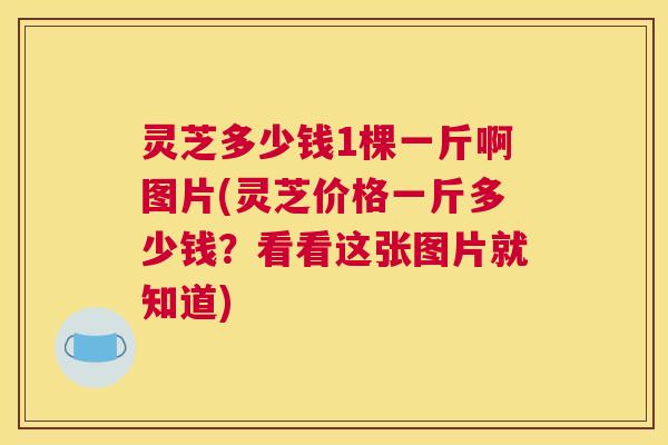 灵芝多少钱1棵一斤啊图片(灵芝价格一斤多少钱?看看这张图片就知道) 灵芝多少钱1棵一斤啊图片(灵芝价格一斤多少钱?看看这张图片就知道)