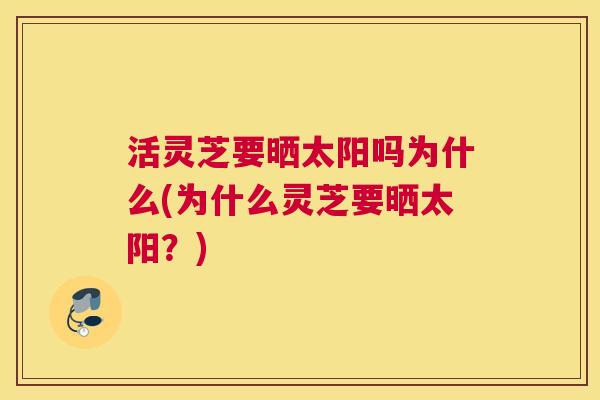 活灵芝要晒太阳吗为什么(为什么灵芝要晒太阳?) 活灵芝要晒太阳吗为什么(为什么灵芝要晒太阳?)