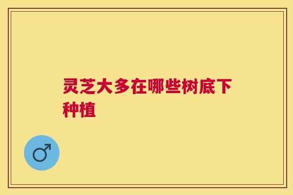 灵芝大多在哪些树底下种植 灵芝大多在哪些树底下种植