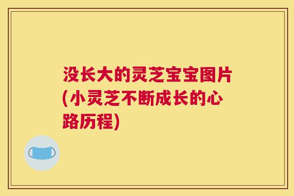 没长大的灵芝宝宝图片(小灵芝不断成长的心路历程)
