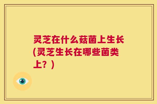 灵芝在什么菇菌上生长(灵芝生长在哪些菌类上?) 灵芝在什么菇菌上生长(灵芝生长在哪些菌类上?)
