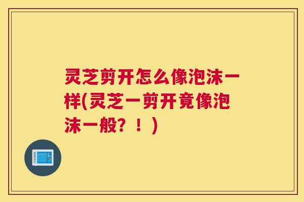灵芝剪开怎么像泡沫一样(灵芝一剪开竟像泡沫一般?!) 灵芝剪开怎么像泡沫一样(灵芝一剪开竟像泡沫一般?!)