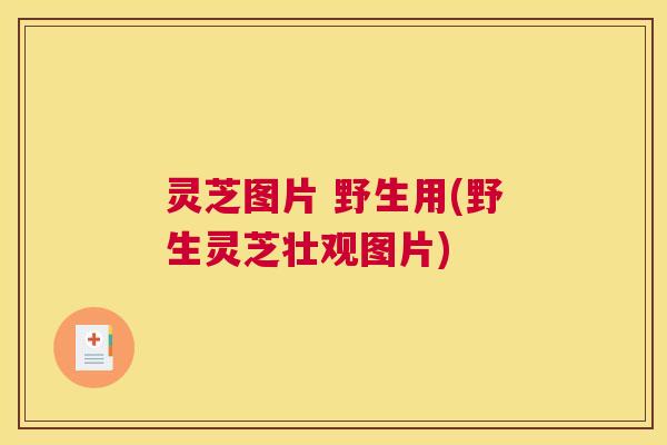 灵芝图片 野生用(野生灵芝壮观图片)