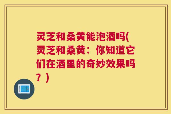 灵芝和桑黄能泡酒吗(灵芝和桑黄:你知道它们在酒里的奇妙效果吗?) 灵芝和桑黄能泡酒吗(灵芝和桑黄:你知道它们在酒里的奇妙效果吗?)