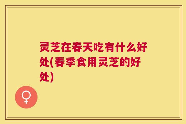 灵芝在春天吃有什么好处(春季食用灵芝的好处) 灵芝在春天吃有什么好处(春季食用灵芝的好处)