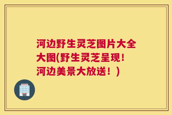 河边野生灵芝图片大全大图(野生灵芝呈现!河边美景大放送!) 河边野生灵芝图片大全大图(野生灵芝呈现!河边美景大放送!)