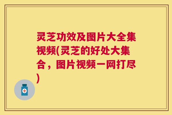 灵芝功效及图片大全集视频(灵芝的好处大集合,图片视频一网打尽) 灵芝功效及图片大全集视频(灵芝的好处大集合,图片视频一网打尽)