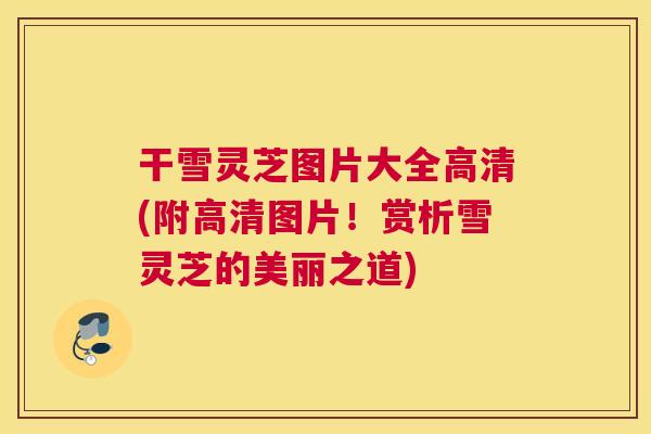 干雪灵芝图片大全高清(附高清图片!赏析雪灵芝的美丽之道) 干雪灵芝图片大全高清(附高清图片!赏析雪灵芝的美丽之道)