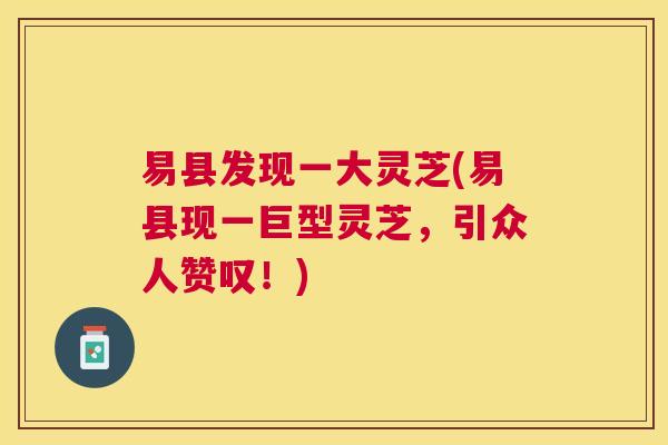 易县发现一大灵芝(易县现一巨型灵芝,引众人赞叹!) 易县发现一大灵芝(易县现一巨型灵芝,引众人赞叹!)
