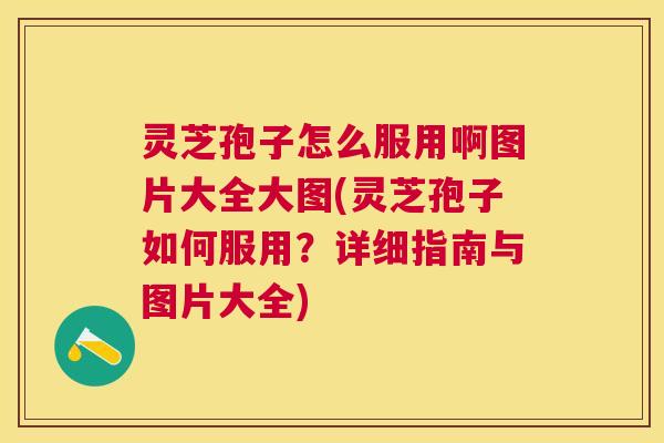 灵芝孢子怎么服用啊图片大全大图(灵芝孢子如何服用?详细指南与图片大全) 灵芝孢子怎么服用啊图片大全大图(灵芝孢子如何服用?详细指南与图片大全)