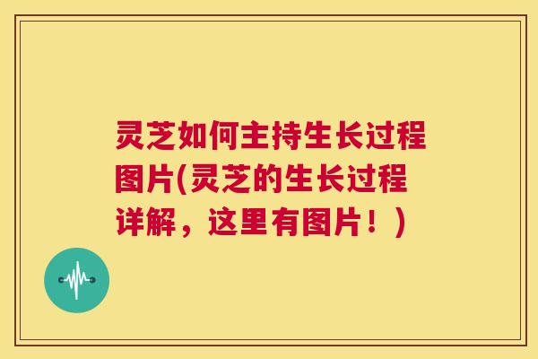 灵芝如何主持生长过程图片(灵芝的生长过程详解，这里有图片！)