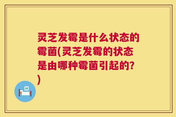 灵芝发霉是什么状态的霉菌(灵芝发霉的状态是由哪种霉菌引起的？)